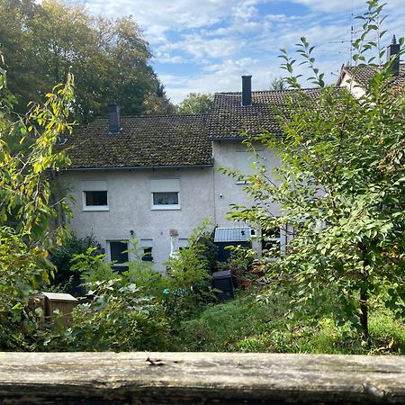 In Saarbruecken Stadtnahe Gemuetliche Wohnung Am Deutsch-Franzoesischen Garten Εξωτερικό φωτογραφία